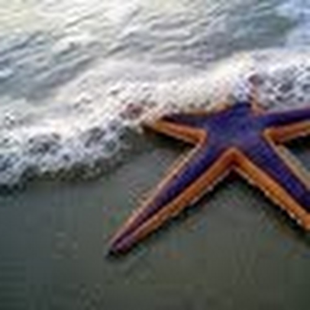 Meet your Posher, Libby